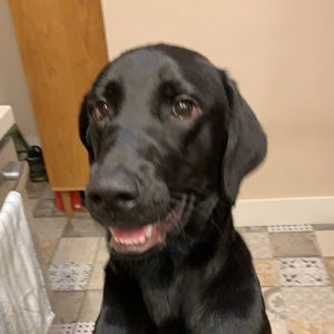 Meet your Posher, Natalia